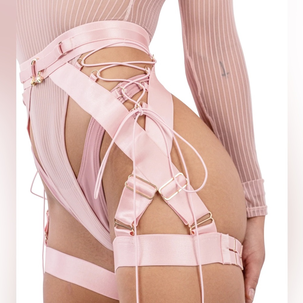 NAUGHTY THOUGHTS XXX RATED SEE THROUGH GARTER BELT PINK